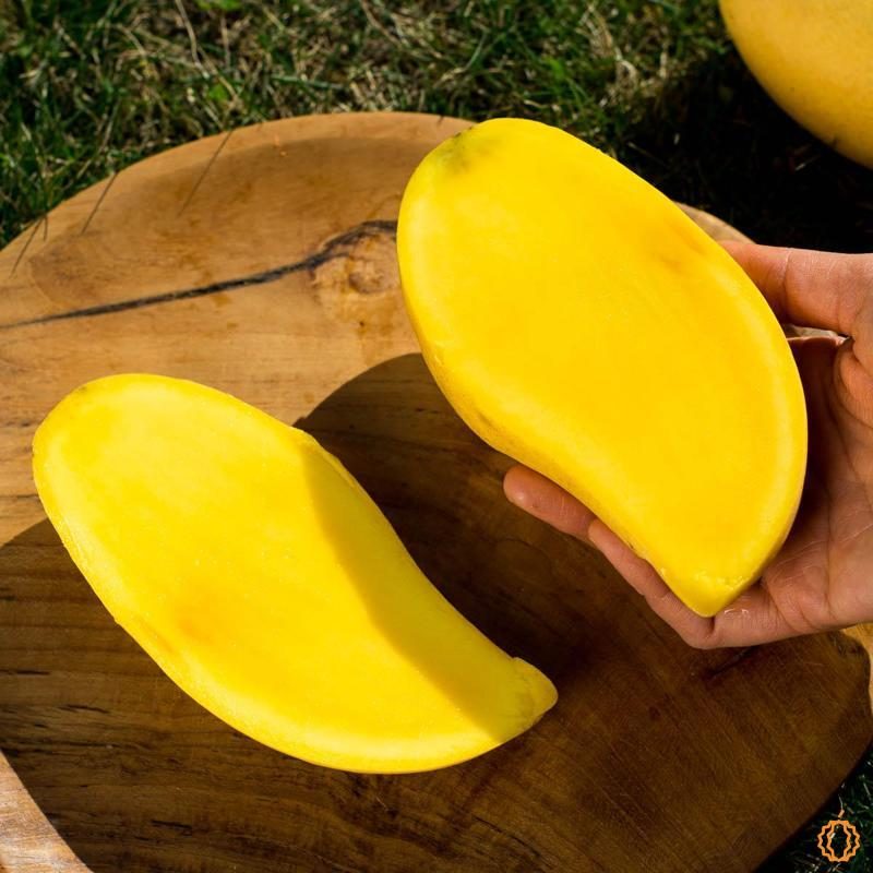 Mangue Nam Dok Maï bio
