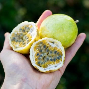 Passionfruit Yellow (Maracuja) organic & fair