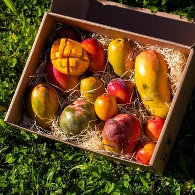 Mangue Box Mix 6 à 8 variétés 4kg