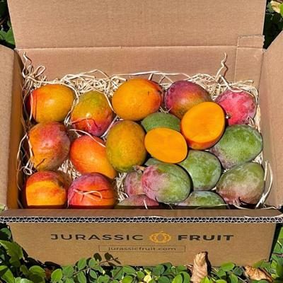 Mango mini mixed varieties box 2kg