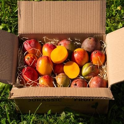 Mangue mini mix variétés box 2kg