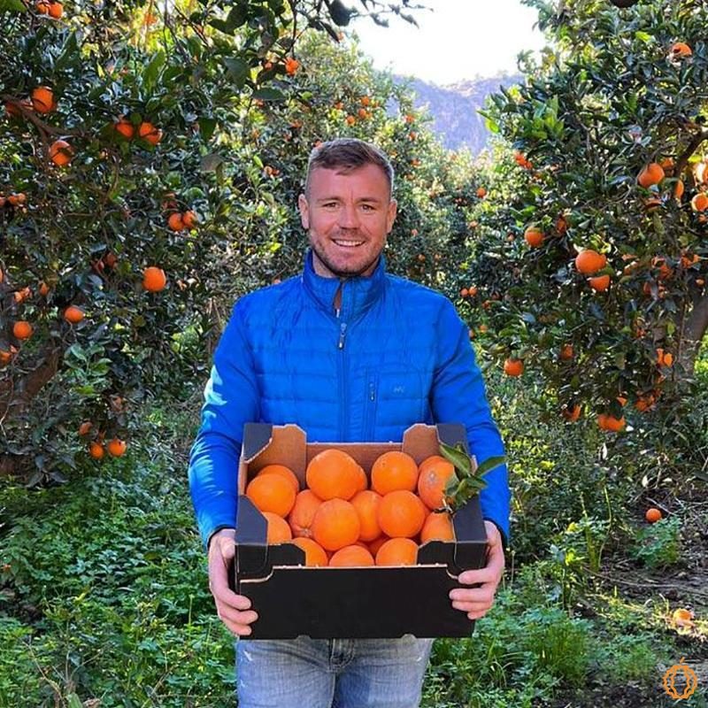 Orangen Farmer Box | Kaufen bei Jurassic Fruit | Billiger Donnerstag