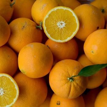 Orange Navelate organic