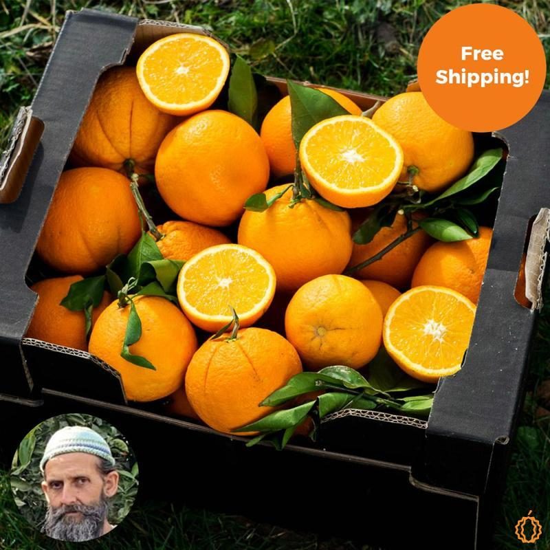 Orangen direkt von Rufino bio 10kg