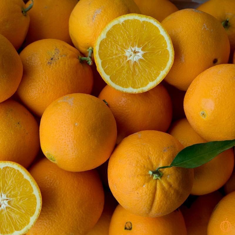 Orange Thompson organic