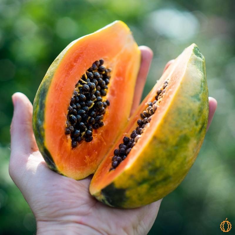 Papaya Golden