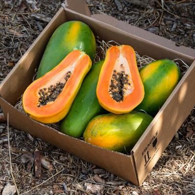 Papaya Sensation direct from Emilio organic 5kg