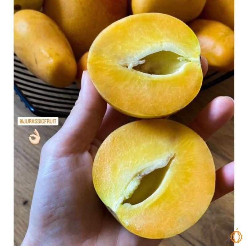 Pepino Melon-Pear