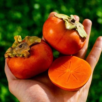 Persimmon Apple Fuyu organic