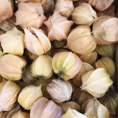 Physalis 100g