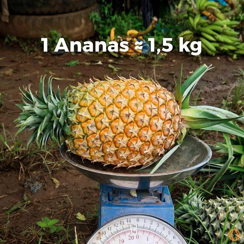 Ananas Cayenne