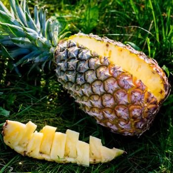 Pineapple Cayenne organic