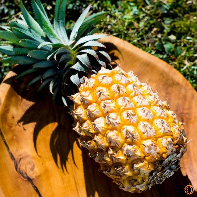 Pineapple Victoria organic