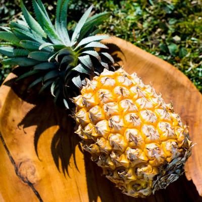 Pineapple Victoria organic