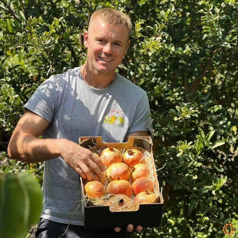 Pomegranate direct from Iulian 4kg