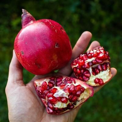 Granatapfel Ruby bio