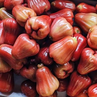 Rose Apple