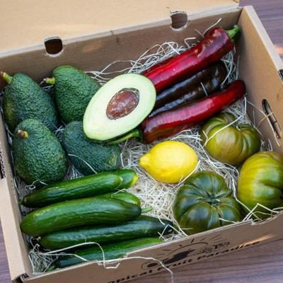 Salatbox mit Avocado und Gemüse direkt von Iulian 4kg