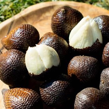 Salak (Snake Fruit) Honey organic & fair