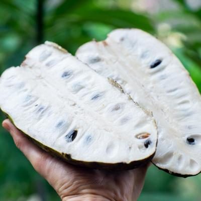 Soursop organic & fair