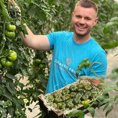 Tomate rustique direct de Iulian 4kg