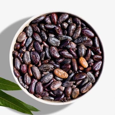 Fèves de cacao décortiquées et séchées bio & crues 300g