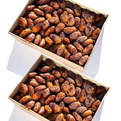 Date Deglet Nour Branch soft organic 6kg