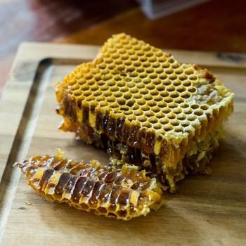 Bienenbrot in der Wabe (Honig & Pollen) roh
