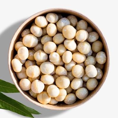 Macadamia nut organic & raw new harvest 500g