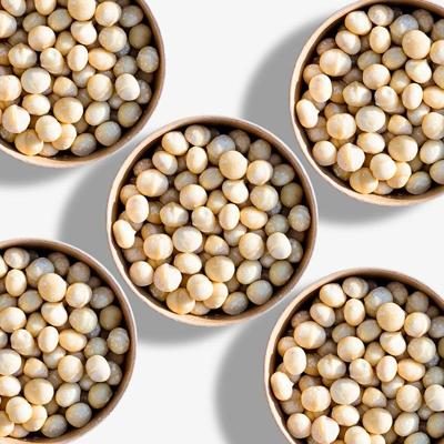 Noix de macadamia bio & crue nouvelle récolte 5x500g