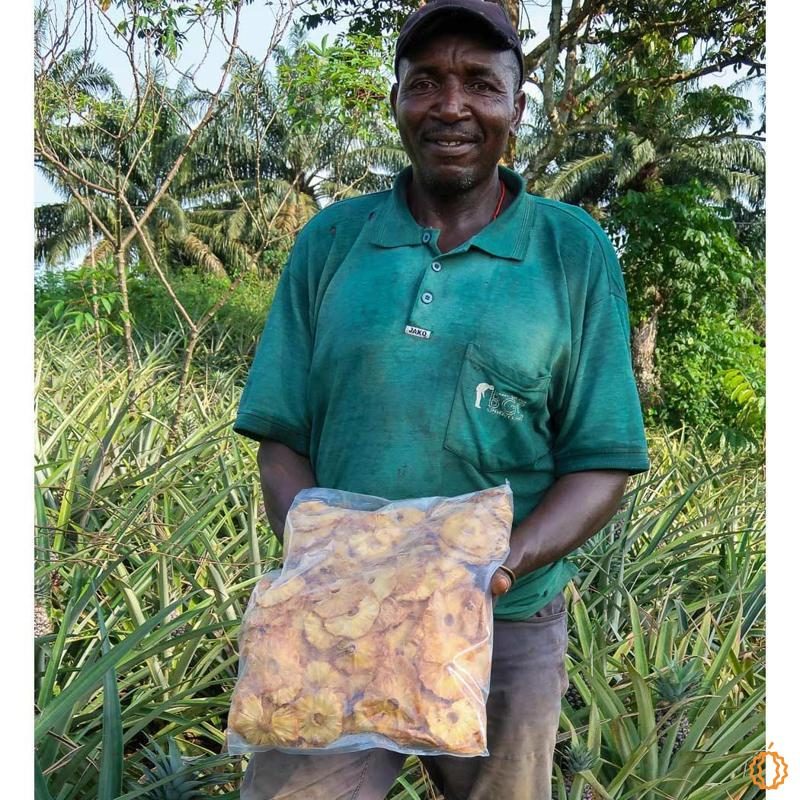 Pineapple dried organic & raw new harvest 2,5kg