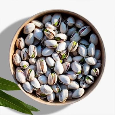 Pistachio with shell organic & raw 500g