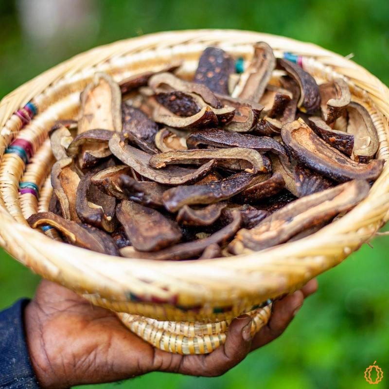 Banane séchée  Acheter à Jurassic Fruit