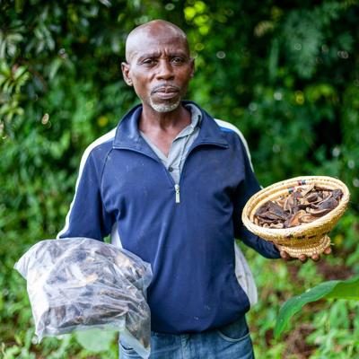 Safou séché cru nouvelle récolte 2,5kg