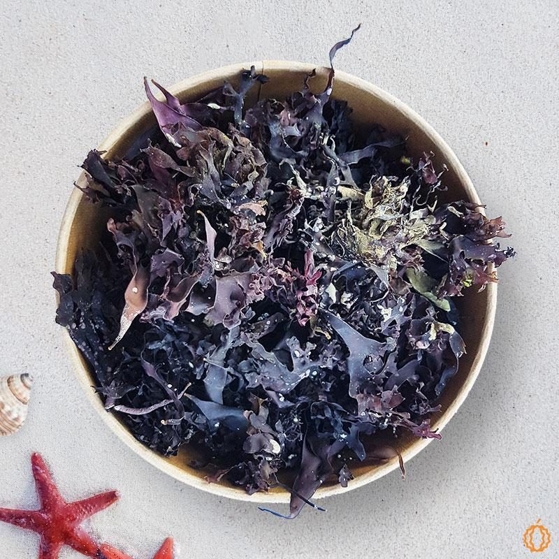 Seaweed Irish moss dried organic & raw 80g
