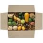 Früchtebox Vielfalt      | Familien-Box | 185,00 € | 12,00 kg
