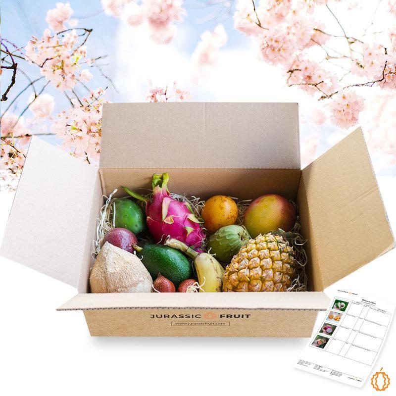 Exotic Fruit Discovery Box