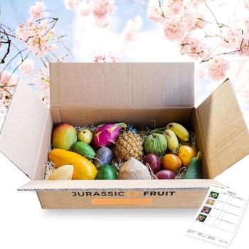 Spezialbox tropische Früchte zu Ostern groß