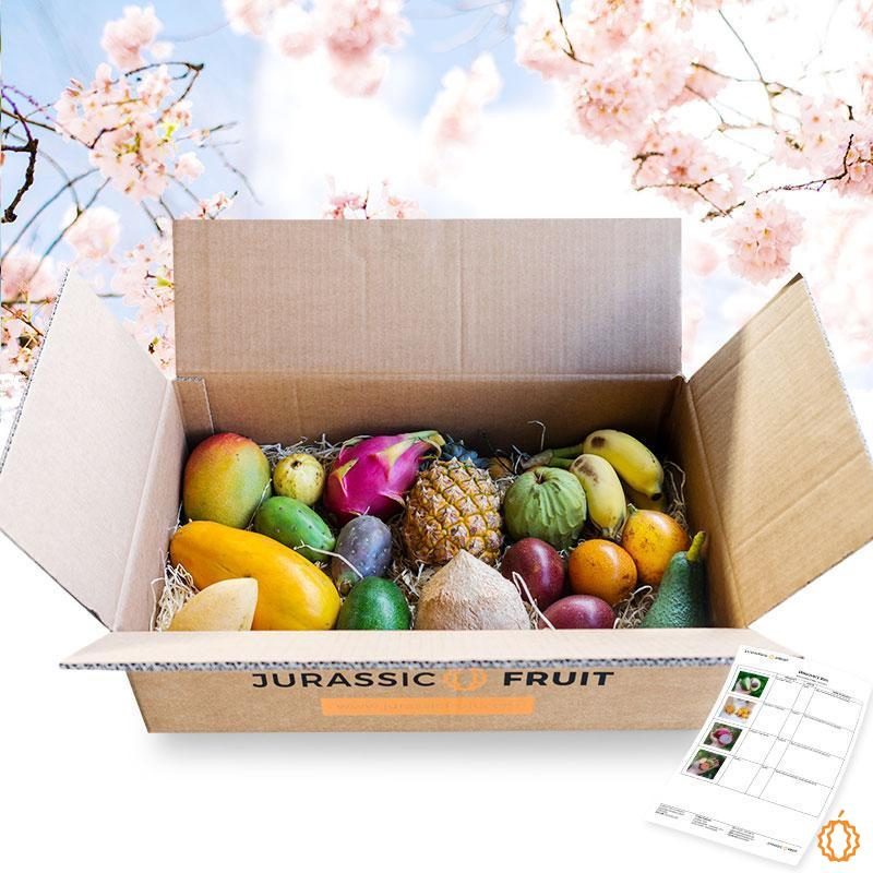 Box tropical fruits special for Easter Large