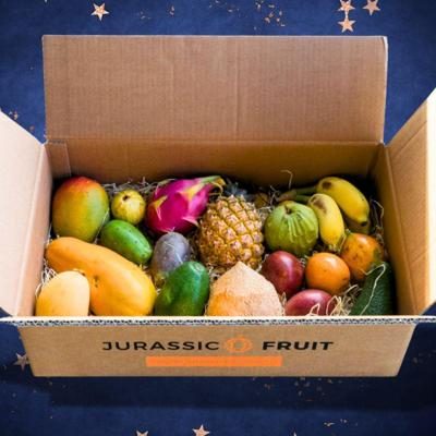 Exotic Fruit Discovery Box Large