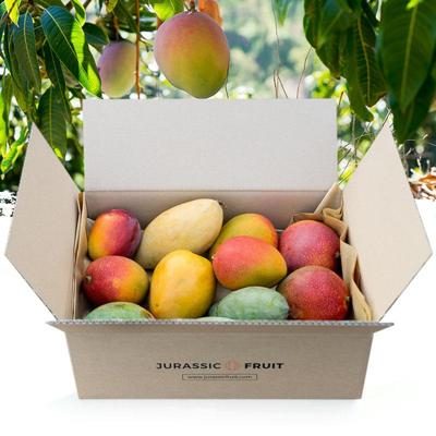 Mango Mischbox