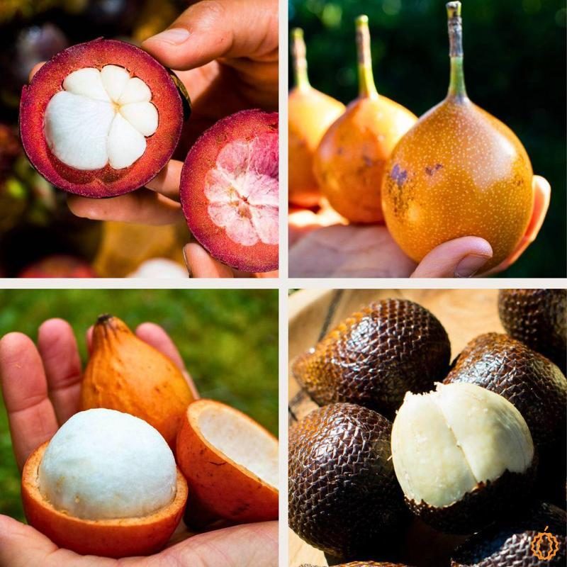 Box 4 small exquisite exotic fruits 2kg
