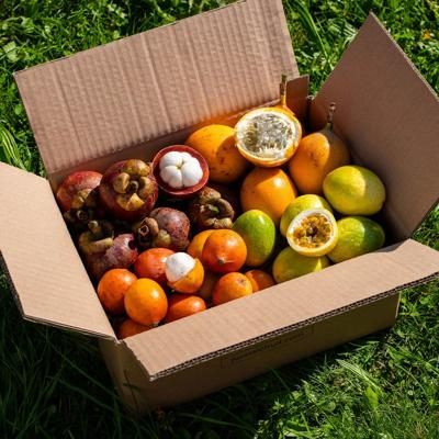 Box 4 kleine exquisite exotische Früchte 2kg