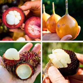 Box 4 small exquisite exotic fruits 2kg