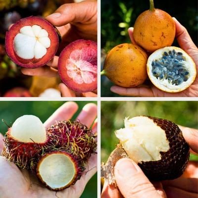 Box 4 small exquisite exotic fruits 2kg