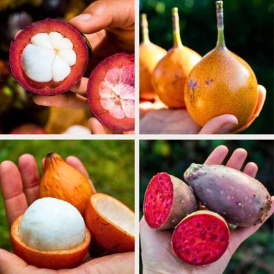 Box 4 small exquisite exotic fruits 2kg