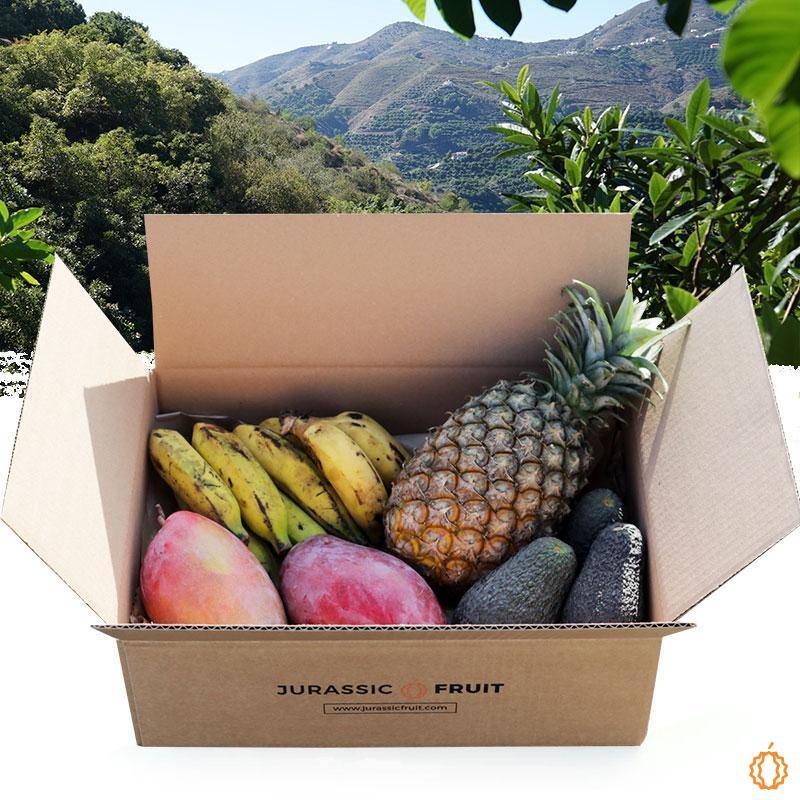 Fruit Bestsellers Box