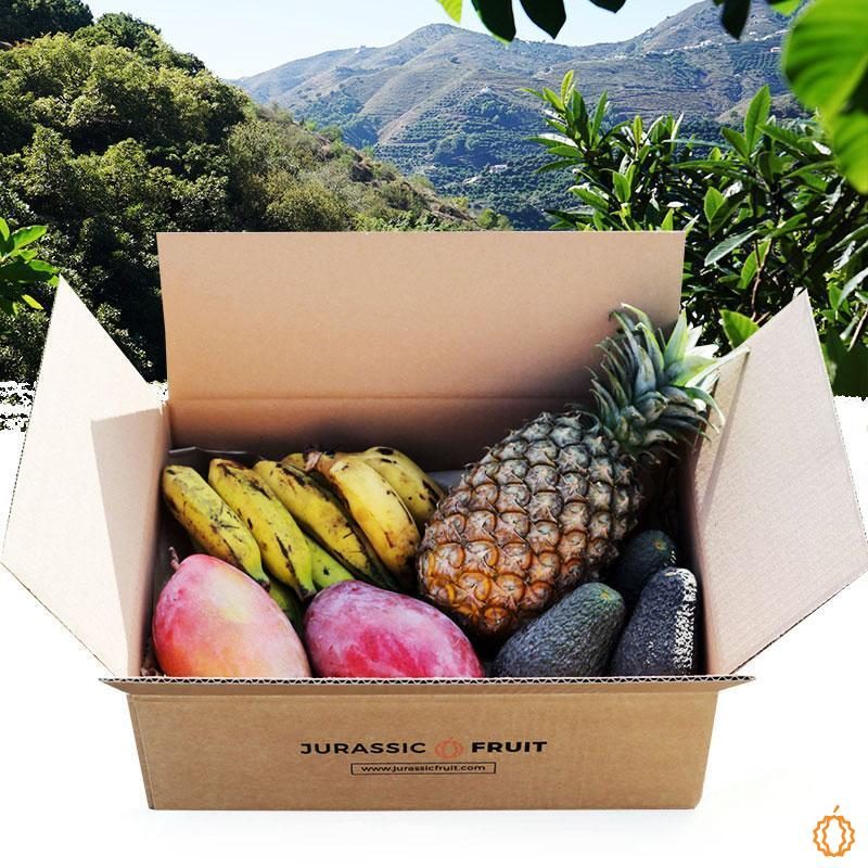 Box Fruits Exotiques 4 Bestsellers